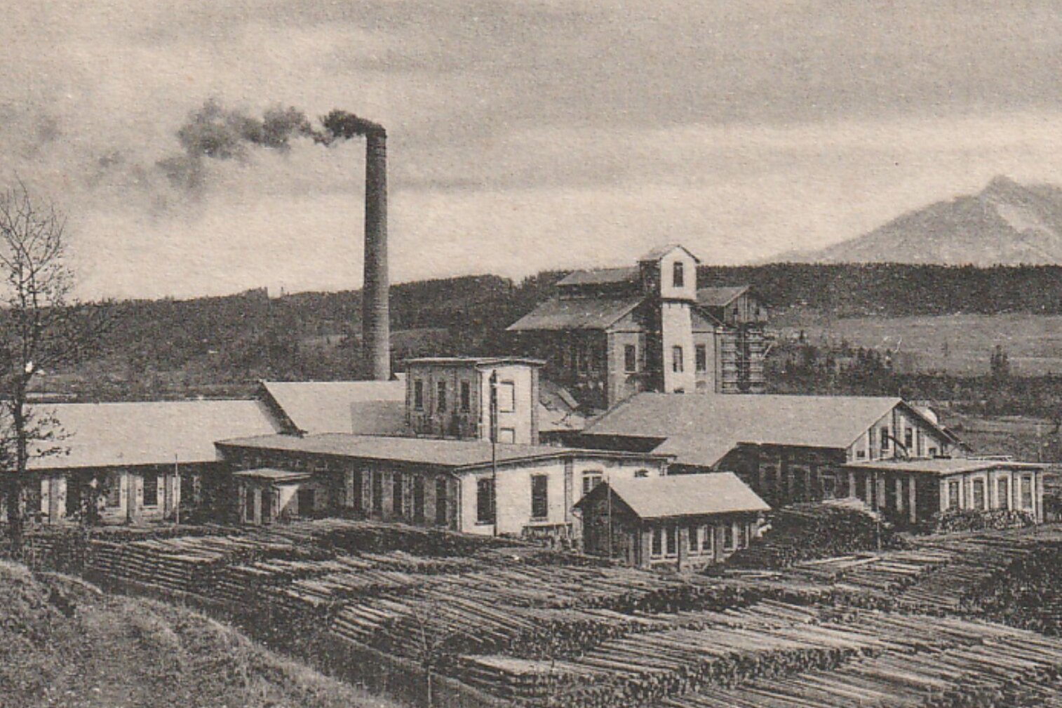 Postkarte Cellulosefabrik St. Magdalen