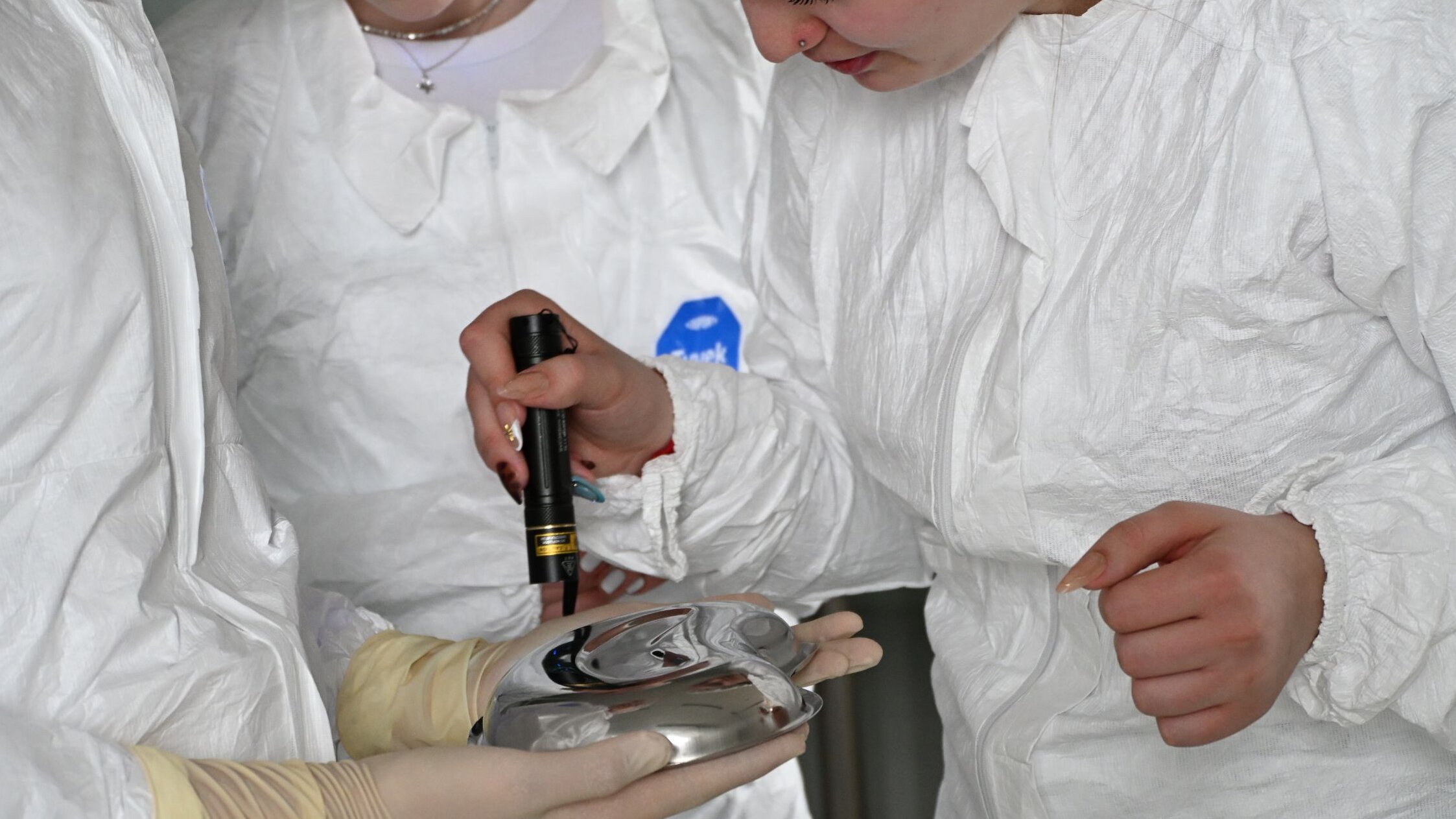 Schüler:innen in Reinraumanzügen untersuchen eine Metallschüssel